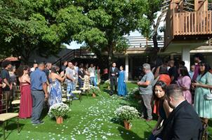 Plantas: imagem 11 de 15